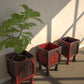 Wooden Plant Containers for Home