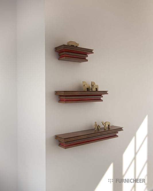 Chic Shelving for Books, Photos, and Plants