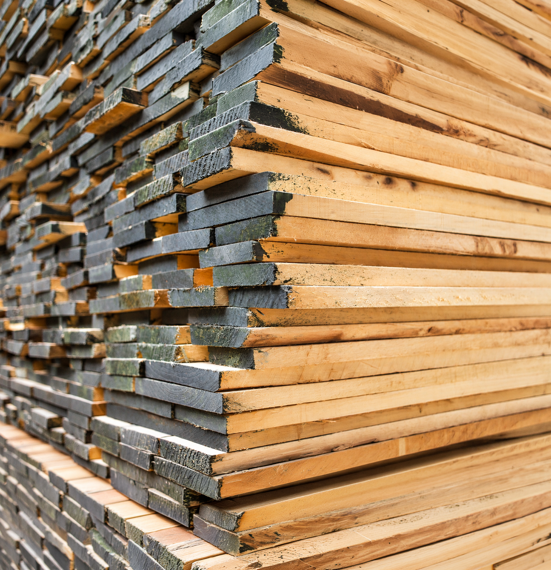 Stacked American Tulip Wood planks used to craft Furnicheer’s handcrafted solid wood furniture.